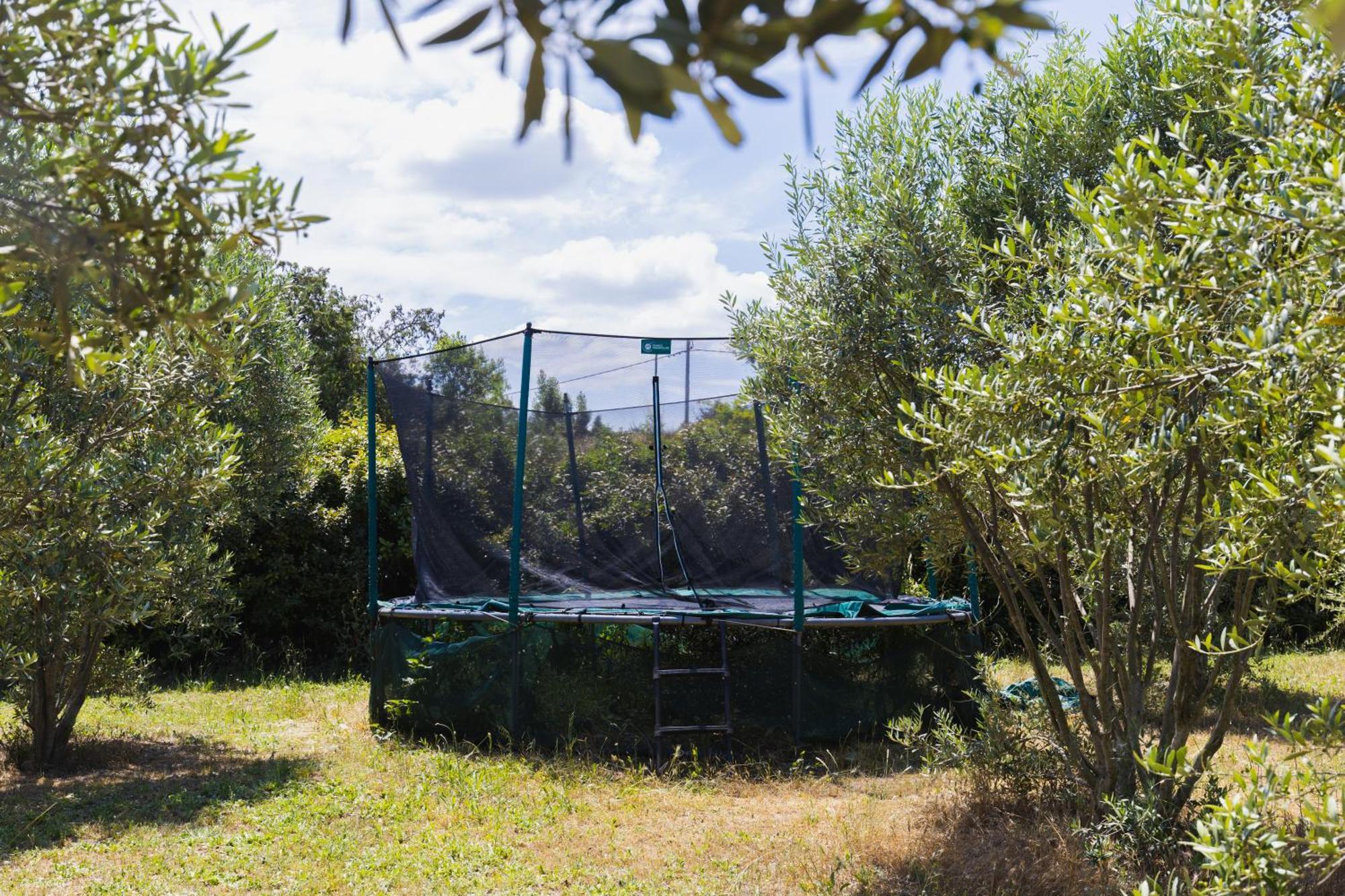 Grand Luberon Chez Manon En Luberon - Vacation In Ferienhaus *