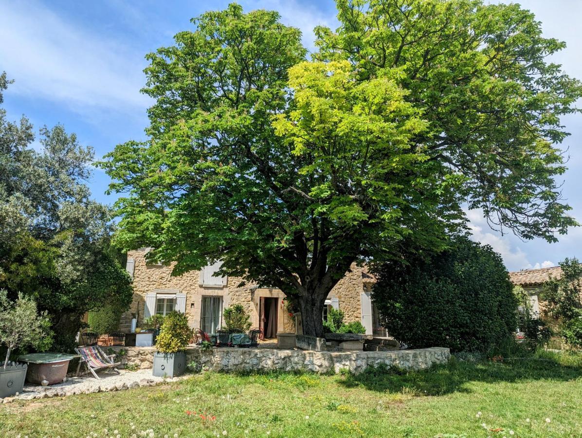 Grand Luberon Chez Manon En Luberon - Vacation In *